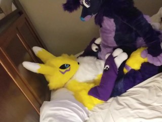 Tally Rides Renamon